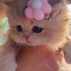 mia__mor