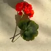 chawbaz2