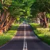 nguoi__qua__duong