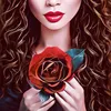 mrsdry03