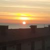 nunooliveira6862