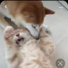 thekindness