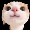 duv4lin_