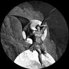 crows_for_human_rights
