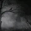 a3._hm