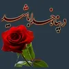 mohammad_karim1