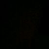 xzzp5
