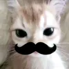 rafahzx016