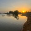 ayedh231