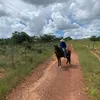 pedraohenriq4