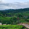 hendar644