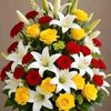 arafat7219