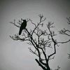 exp_upp