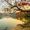 mdhridoyhossain272