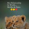 family.name.lion