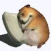abmllv_