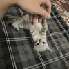muaroimuaha205.zz