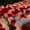 shilanahmad000