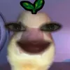 eykdqnts