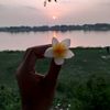 mdshihab11768