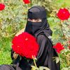 sharifkhan27531