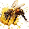 _bee888_