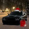 brevno_259