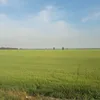 nguyenxuanhao7