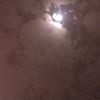 hamodymohmed596