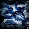 mel_cimell