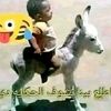 msnkdla