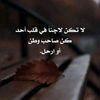 user6859033933704
