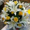 suthana26