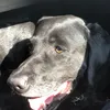 jj_3735