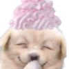 pinkeucstlle_3
