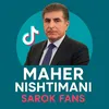 Sarok fans