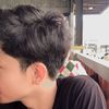 sendholll