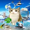 MeowlInfo