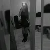 serenaafedelee