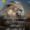 user1228634300232