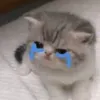 shrvnk