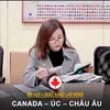 baotran.canada_ireland