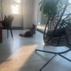 twan_0182