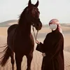 zzh_o15