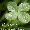 user12463251093366