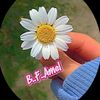 fleurs761