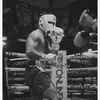 boxer_..7