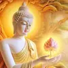 tranthinhvuong83