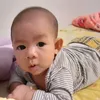 calao281128