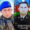 mirtalib_sehid_yarim_